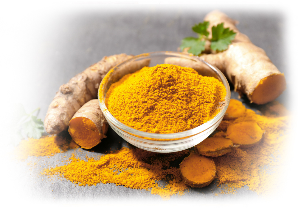 Curcumin in a spice bowl surrounded by turmeric root
