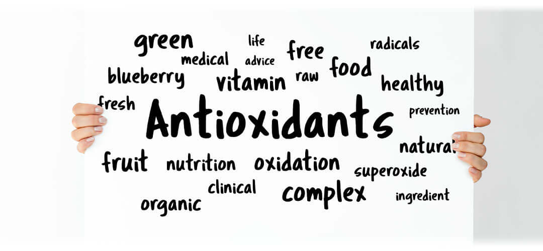 A notebook with the word 'Antioxidant' written on it, surrounded by other antioxidant related words