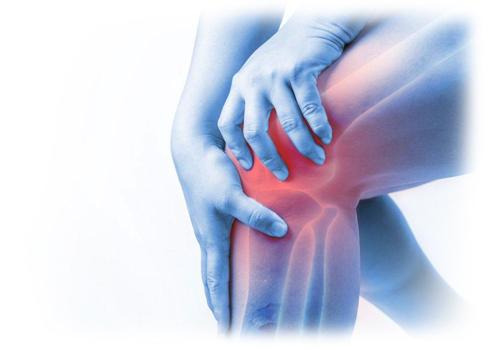 Person holding their knee in pain with a highlighted red area, Lily & Loaf relief solution concept.