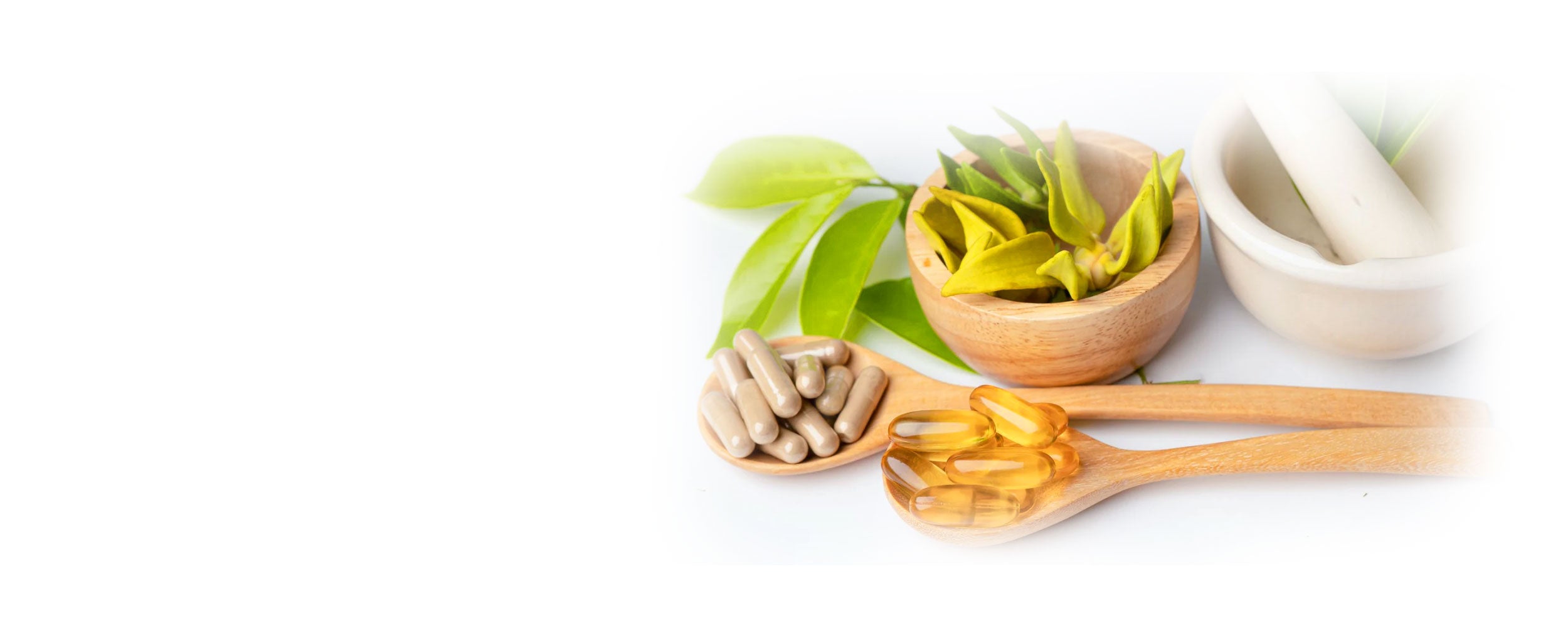 Herbal capsules and Omega-3 oils with green leaves, Lily & Loaf's promise for holistic health and vitality.