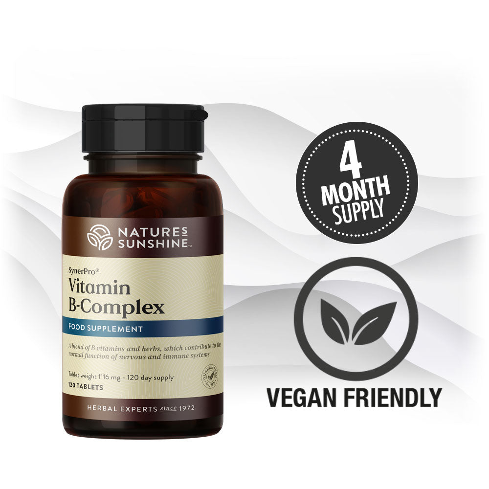 Bottle of Nature's Sunshine Vitamin B Complex - 4 month supply