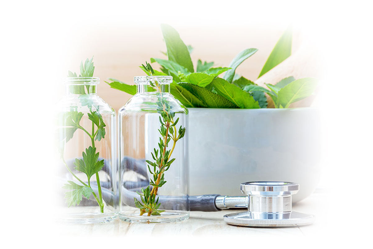 Fresh herbs in glass vials with a stethoscope, symbolizing Lily & Loaf's natural health focus.
