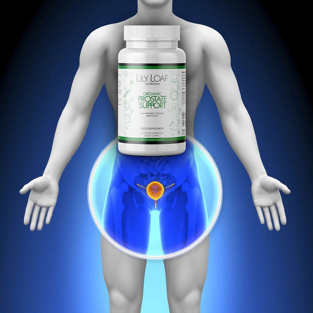 The image displays a 3D illustration of a male torso and pelvic region with a semi-transparent view, highlighting the prostate gland in orange. In front of the anatomical illustration is a bottle of Lily & Loaf Organic Prostate Support dietary supplement, with a label featuring green accents and text that likely lists key ingredients and product information.