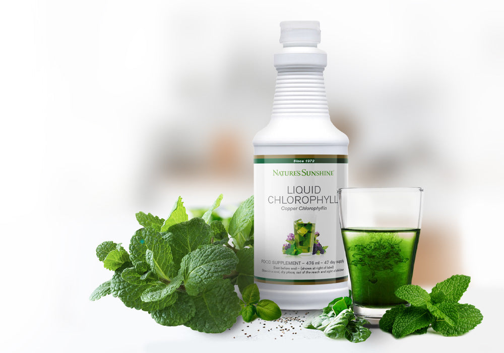 Nature's Sunshine Liquid Chlorophyll in a white bottle next to a glass filled with a green, chlorophyll-rich supplement, surrounded by fresh mint leaves, showcasing the natural ingredients and healthful essence of the product.