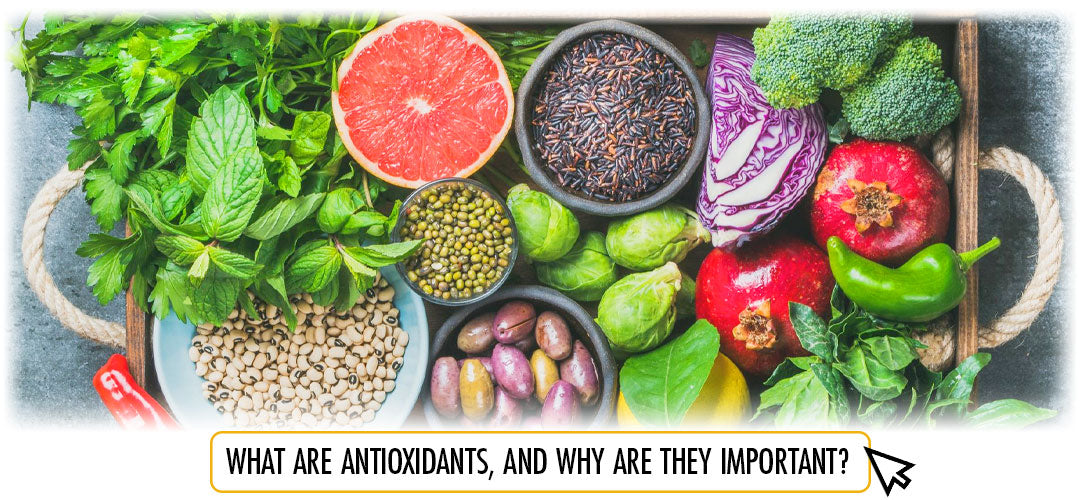 Assorted antioxidant-rich foods with a Lily & Loaf guide on their benefits.