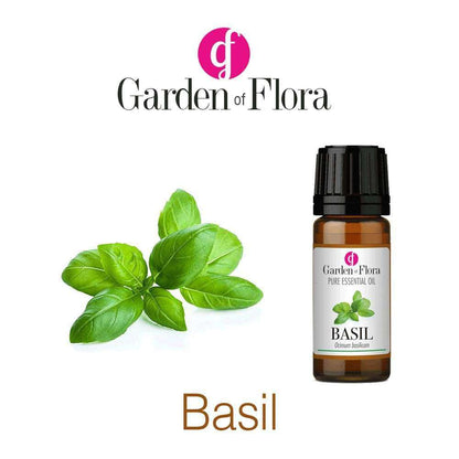 Glass Bottle of Garden of Flora Basil Pure Essential Oil 10ml with basil leaves