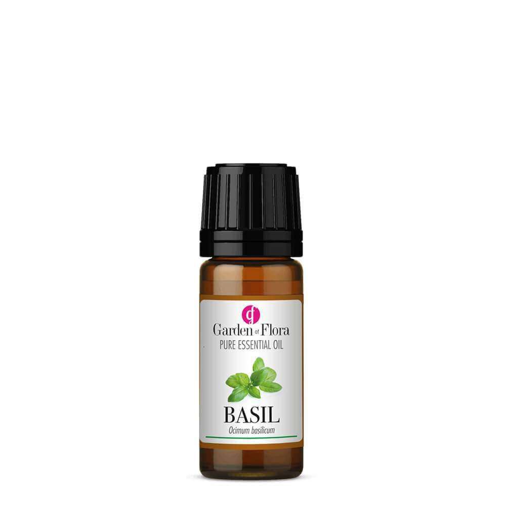 Glass Amber Bottle of Garden of Flora Basil Pure Essential Oil 10ml , Spicy Aroma, Invigorates mind, body and soul