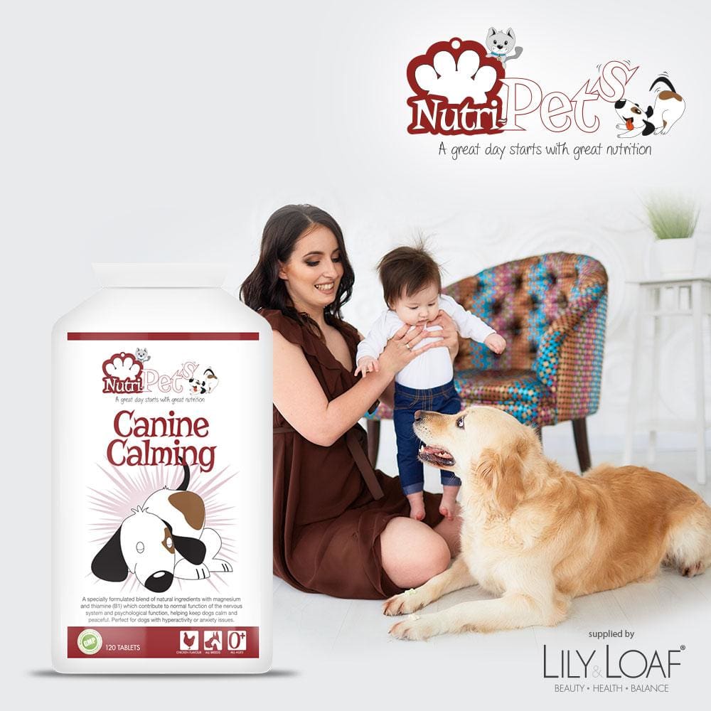 Nutri-Pets - Canine Calming - Tablet