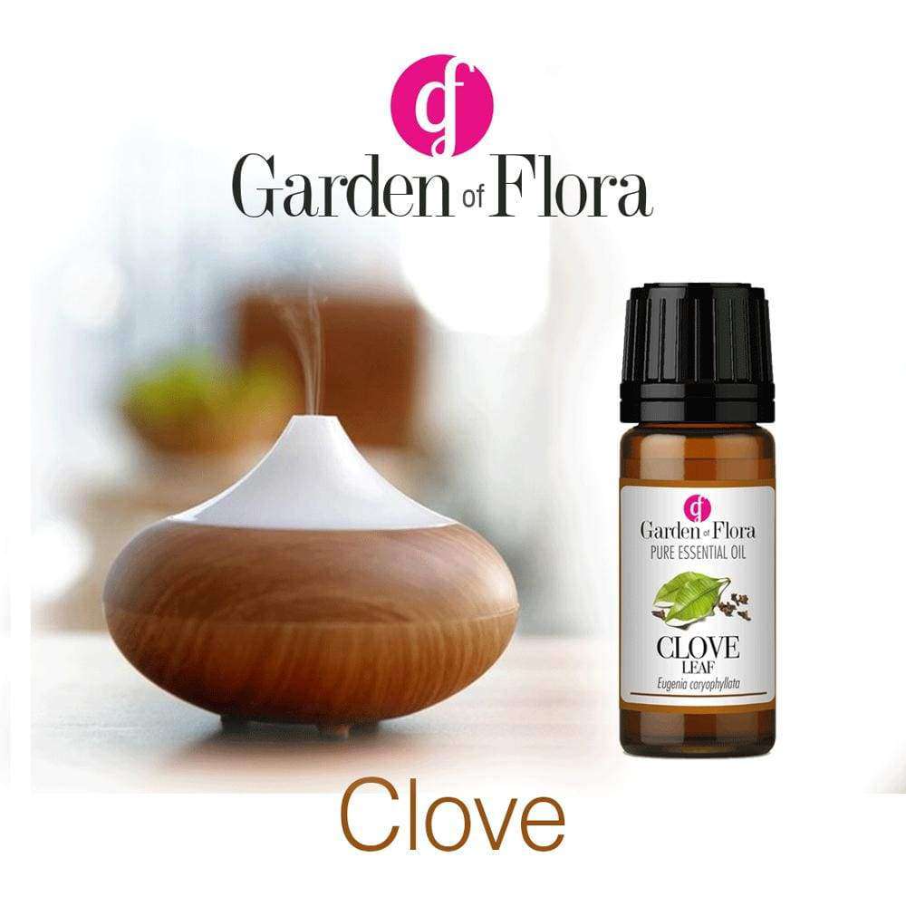 Garden of Flora - Clove Leaf Pure Essential Oil 10ml - Essential Oil